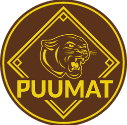 Baseball-Puumat